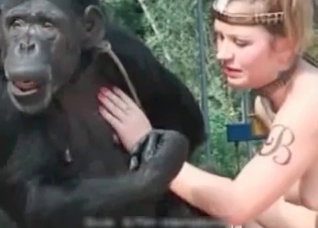 Blonde wants to seduce a gorilla