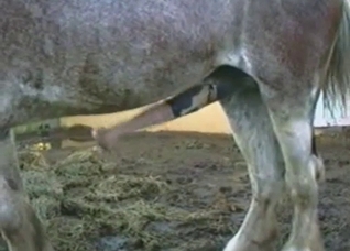 That cock is gonna get bigger and bigger