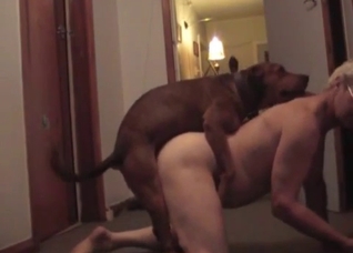 Doggy style banging for a big booty zoophile