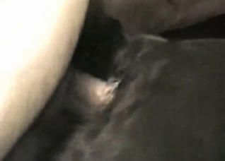 Sideways fuck-fest with a hot dog