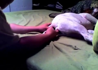 Dude preparing his pet's hole for a cock
