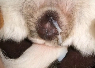 Dude is obsessed with that hole