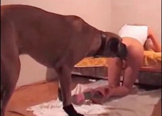 Dog licking and sniffing that cunt