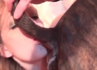 Nasty bestiality sex in high quality