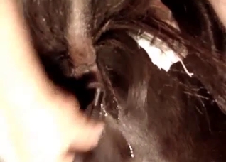 Extreme close-ups to get you off