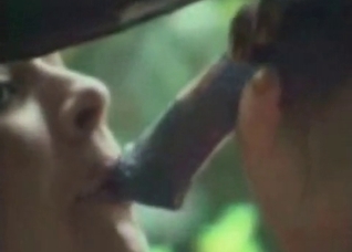 Short-haired slavegirl fucking a horse