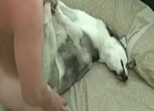Close-ups of amazing bestiality