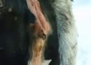 Close-ups you've always wanted to see