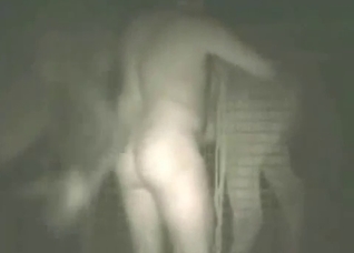 Amazing nighttime bestiality here