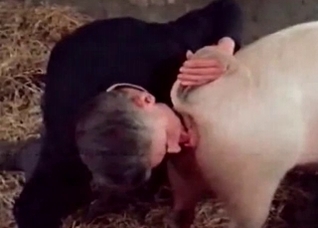 Pig is gonna steal the show here