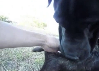 Immensely sexy bestiality clip for you