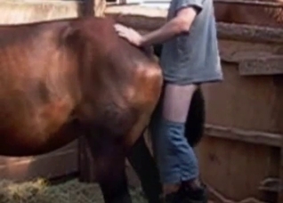 Dude fucking a very large animal